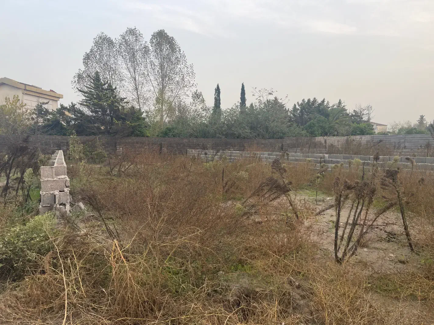 زمین ۲۷۰ متری بندر زیباکنار/ سندششدانگ/ پروانه|فروش زمین و ملک کلنگی|رشت, بازار|دیوار