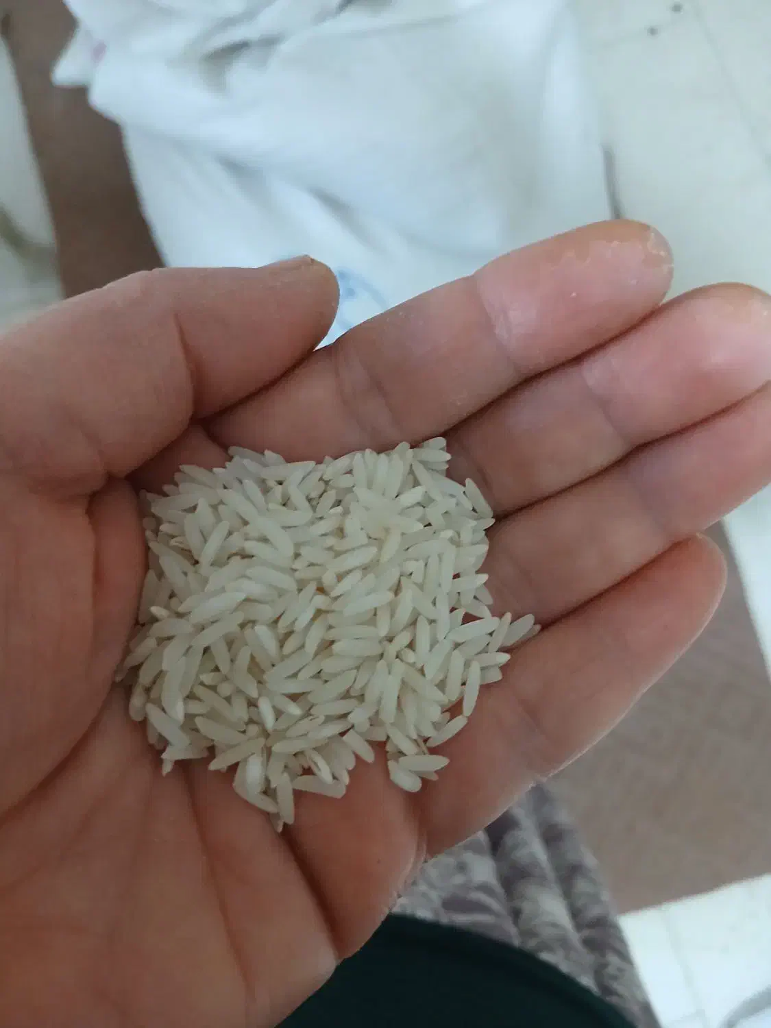 برنج طارم هاشمی بدون ذره ای قاطی به شرط|خوردنی و آشامیدنی|آمل, |دیوار