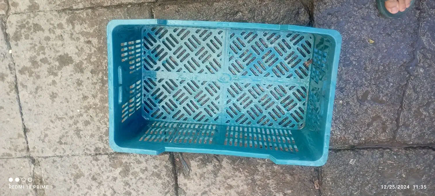 جعبه پلاستیکی بزرگ|ظروف نگهدارنده، پلاستیکی، یک‌بارمصرف|مریوان, |دیوار