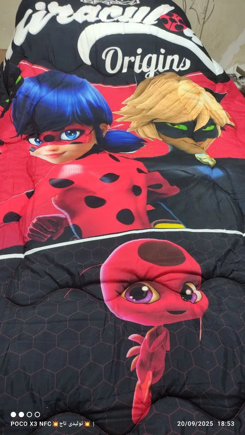 رروتختی سه بعدی|سرویس روتختی|کرج, کوی امامیه|دیوار