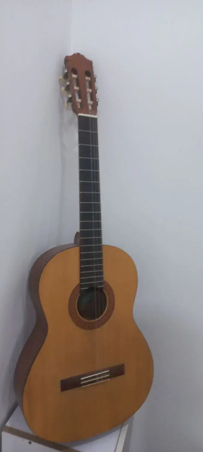 گیتار تمیز بدون هیچ ایراد|گیتار، بیس، امپلیفایر|شوش, |دیوار