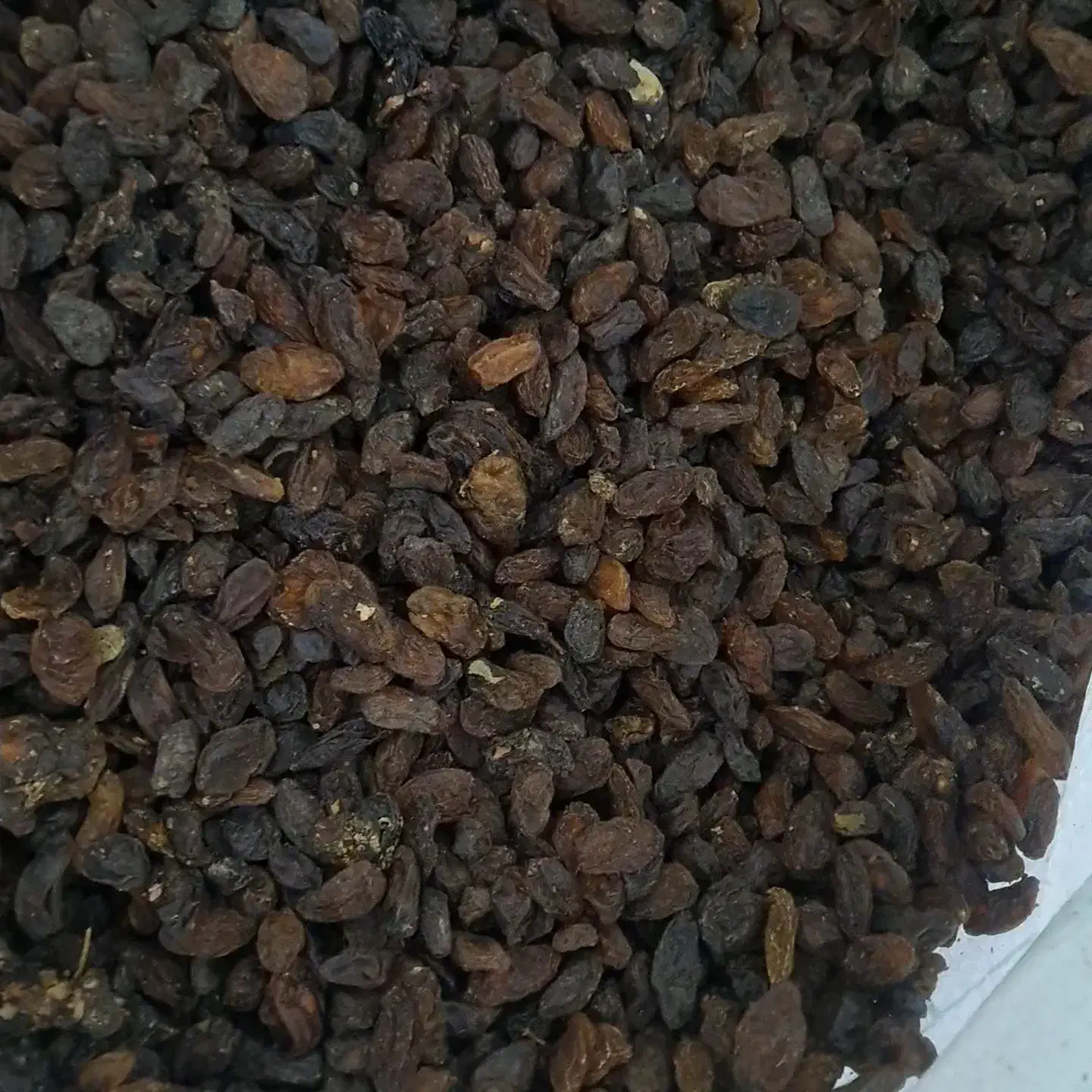 کشمش درجه یک افتابی|خوردنی و آشامیدنی|کرمانشاه, |دیوار