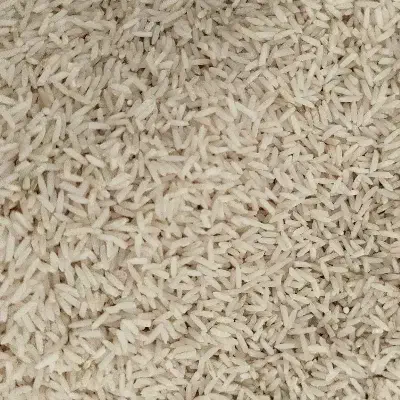 برنج دم سیاه کلات|خوردنی و آشامیدنی|کلات (خراسان), |دیوار