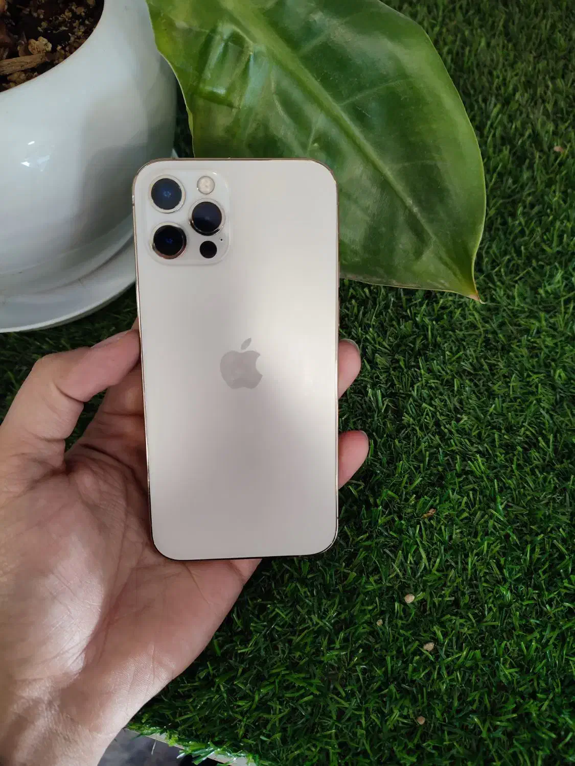 iPhone 12 pro|موبایل|تربت جام, نظامی|دیوار