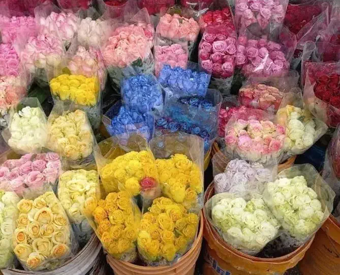 گل عمده (شاخه ای)|گل و گیاه طبیعی|ری, بازار گل خاوران|دیوار