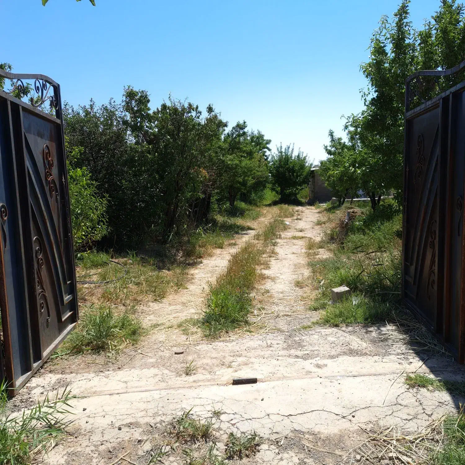 باغ با سند شش دانگ|فروش خانه و ویلا|صوفیان, |دیوار