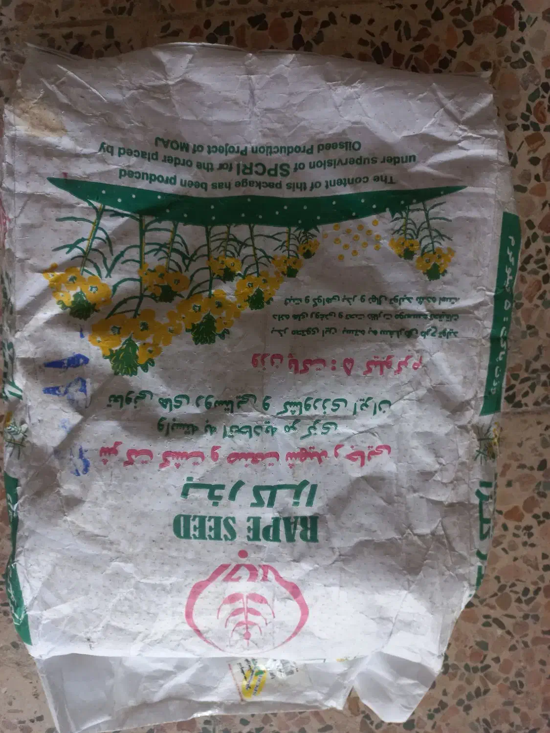 بذرکلزا درجه یک هابولا 50|خدمات باغبانی و درختکاری|دره شهر, |دیوار