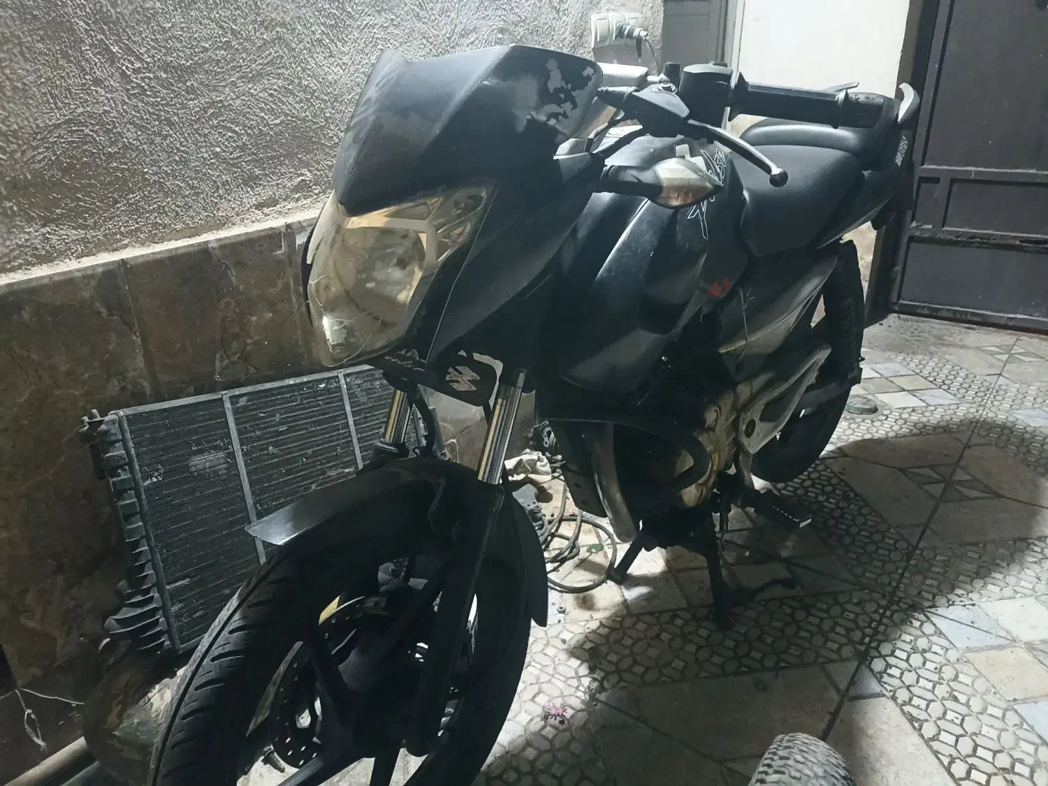 پالس ۱۳۵|موتورسیکلت|شیراز, دباغ خانه|دیوار