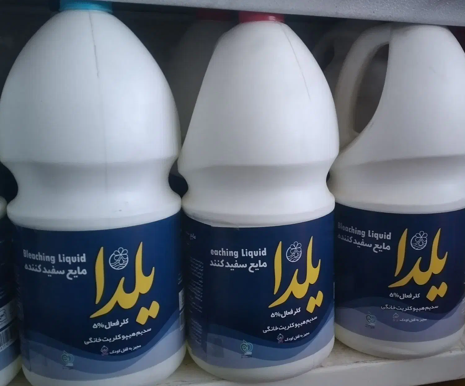 وایتکس یلدا|مواد شوینده و دستمال کاغذی|مشهد, مهدی آباد|دیوار