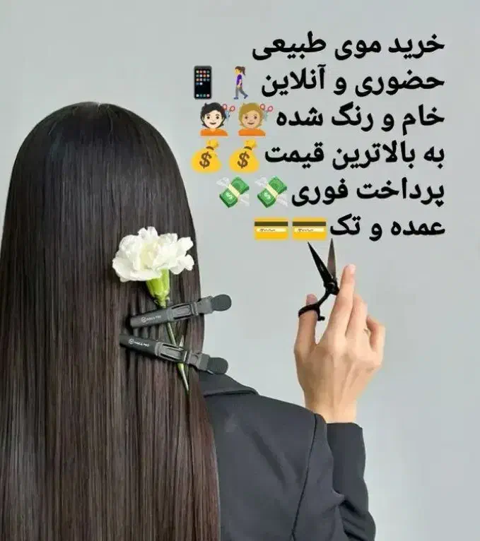 خریدار موهای بانوان و دختران|خدمات آرایشگری و زیبایی|تربت جام, بوستان وحدت|دیوار