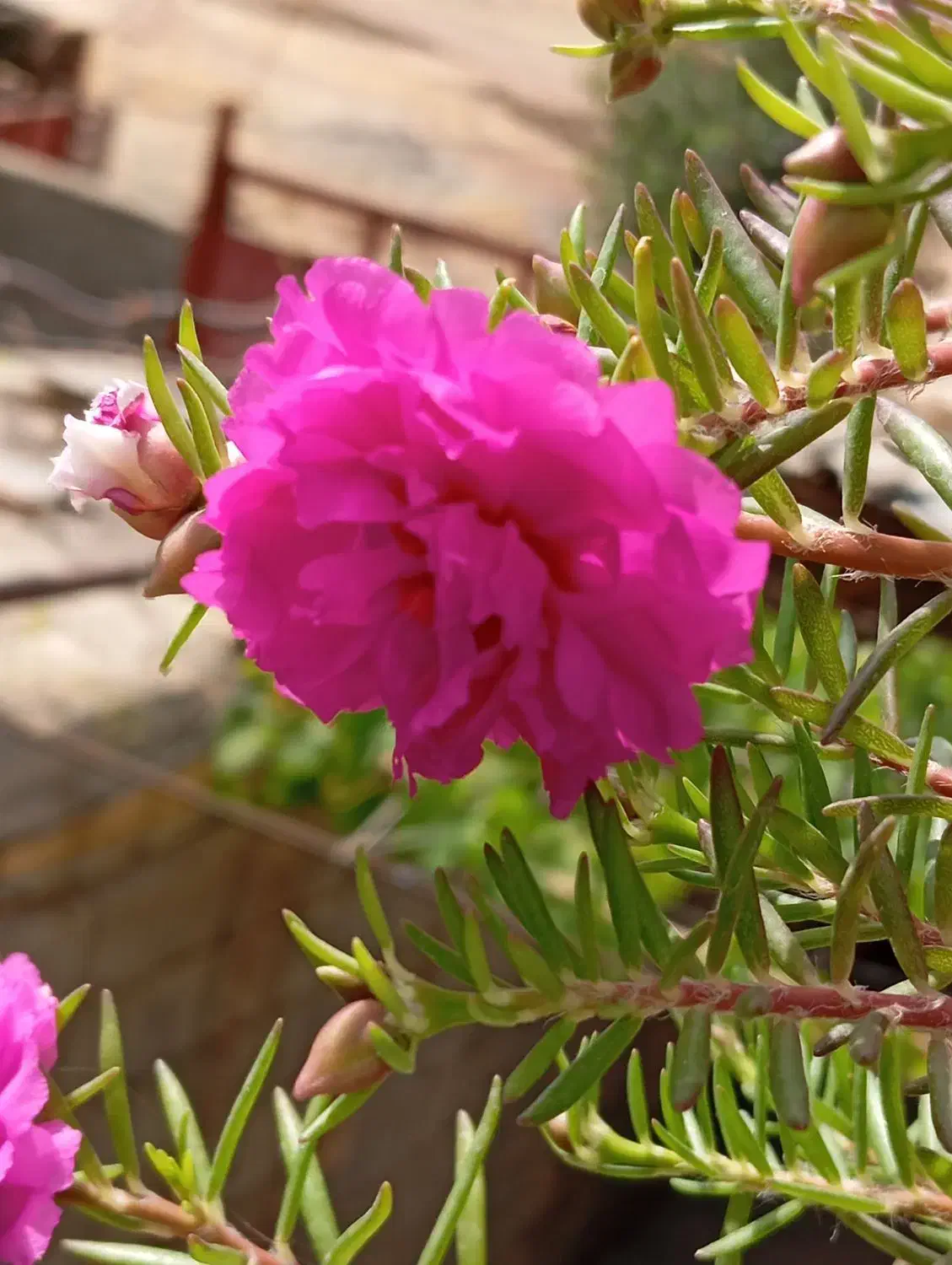 اجاره زمین  کشاورزی|اجارهٔ دفتر صنعتی، کشاورزی، تجاری|کوهدشت, |دیوار