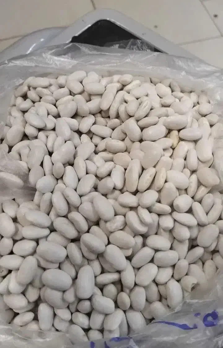 لوبیا سفید|عمده‌فروشی|داران, |دیوار