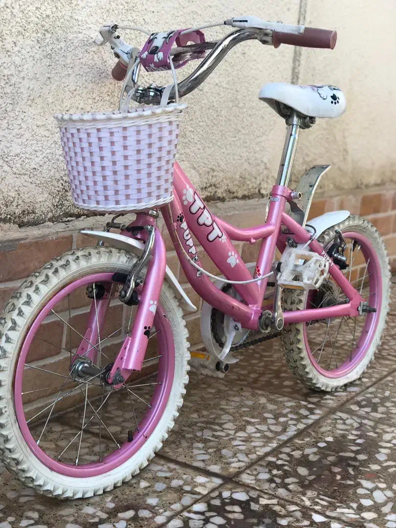 دوچرخه ۱۶نو دخترانه|دوچرخه، اسکیت، اسکوتر|رشت, دیلمان|دیوار