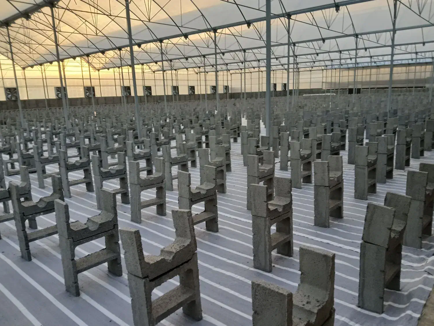 زیر بستر کشت گلخانه بتنی|مصالح و تجهیزات ساختمان|اصفهان, باغ نگاره|دیوار