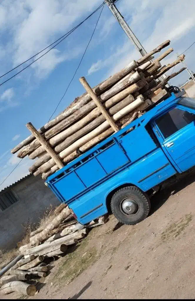 چوب|عمده‌فروشی|مشهد, کوشش|دیوار