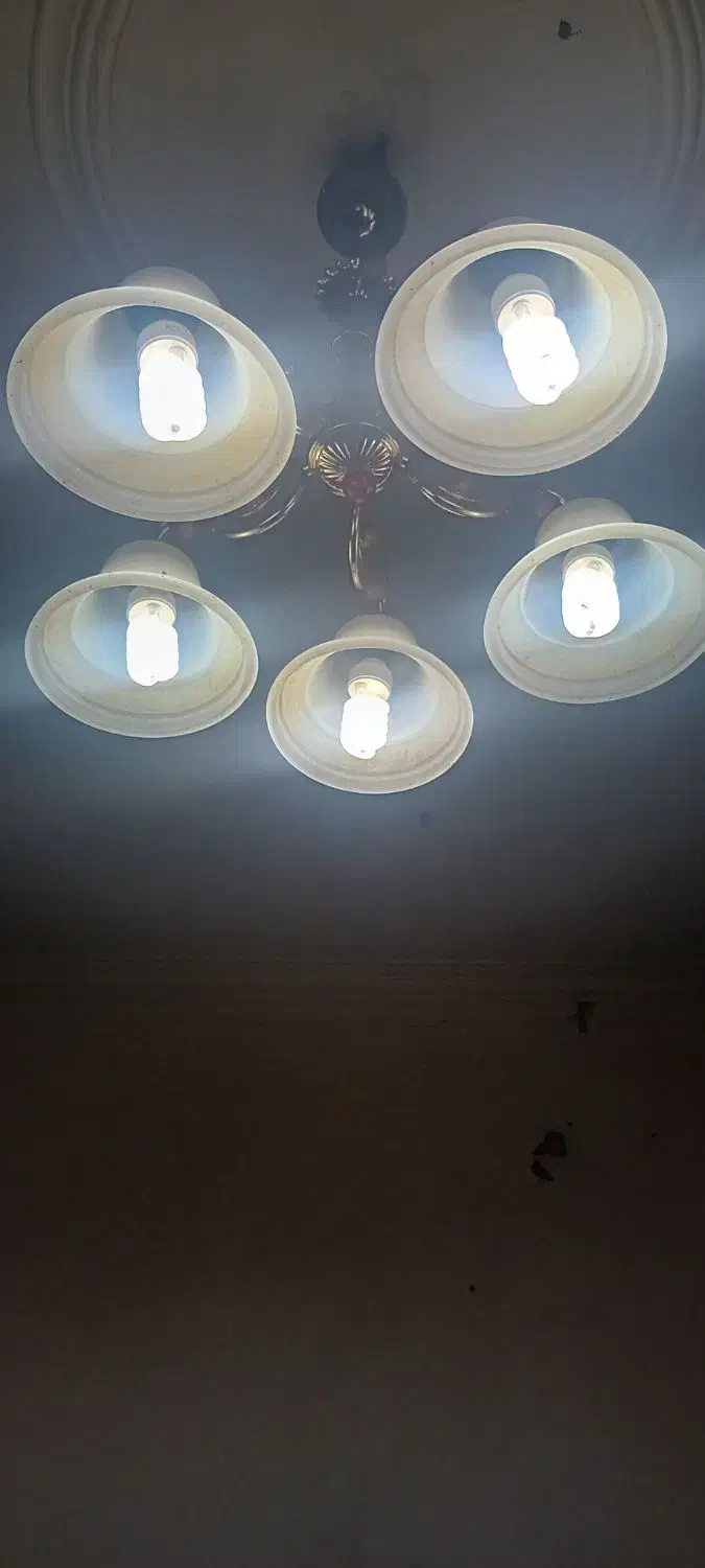 دوعدد لوستر همراه با چراغ|لوستر و چراغ آویز|آبادان, |دیوار