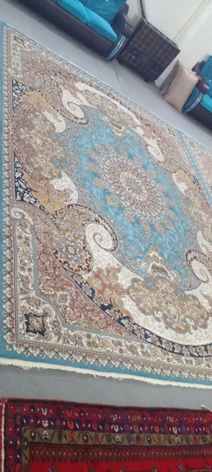 فرش|فرش|زنجان, |دیوار