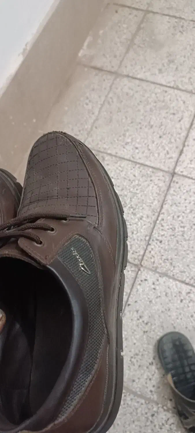 کفش سایز42|کیف، کفش، کمربند|سبزوار, هویزه|دیوار