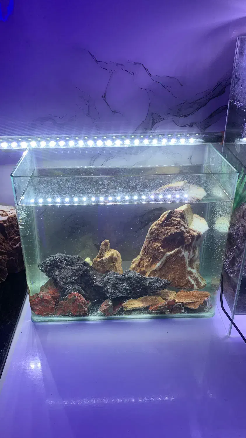 آکواریوم با تمامی تجهیزات|ماهی|لنگرود, |دیوار