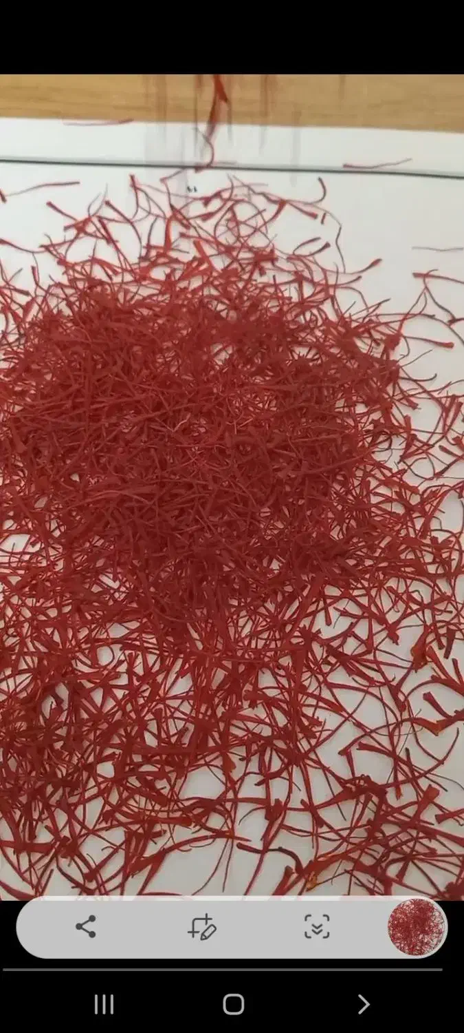 زعفران خالص از کاشت تا برداشت مال خودمونه|خوردنی و آشامیدنی|گنبد کاووس, |دیوار