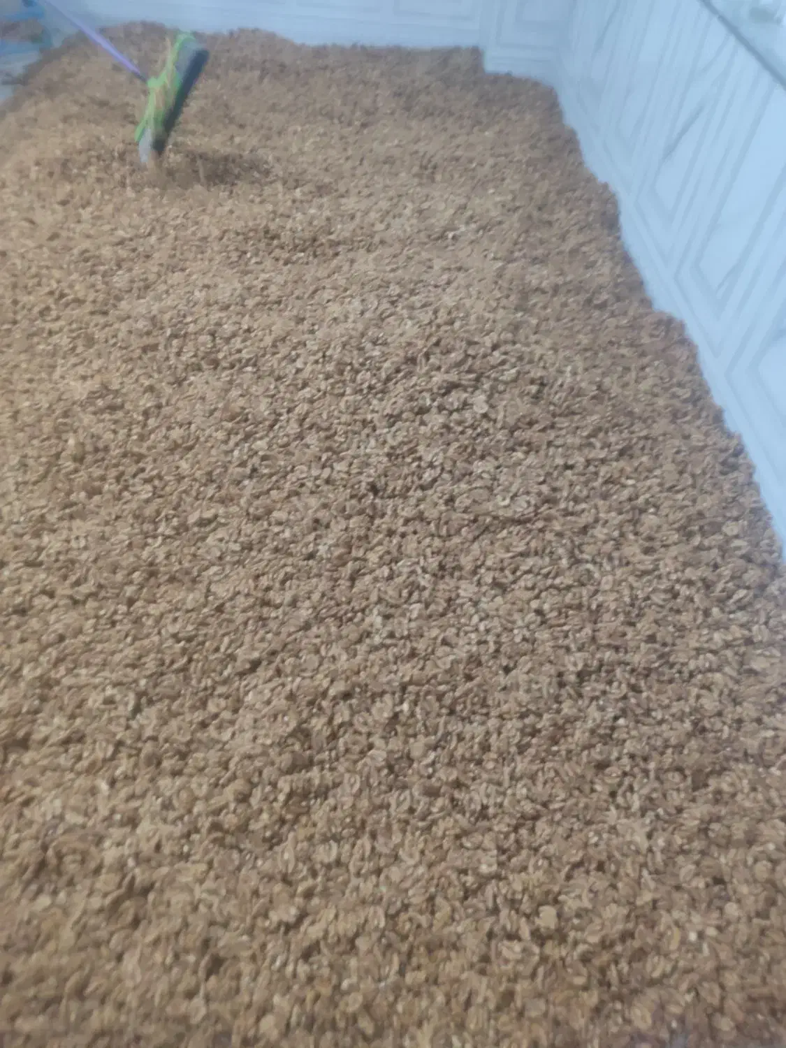 کارگر ساده|استخدام صنعتی، فنی، مهندسی|آذرشهر, |دیوار