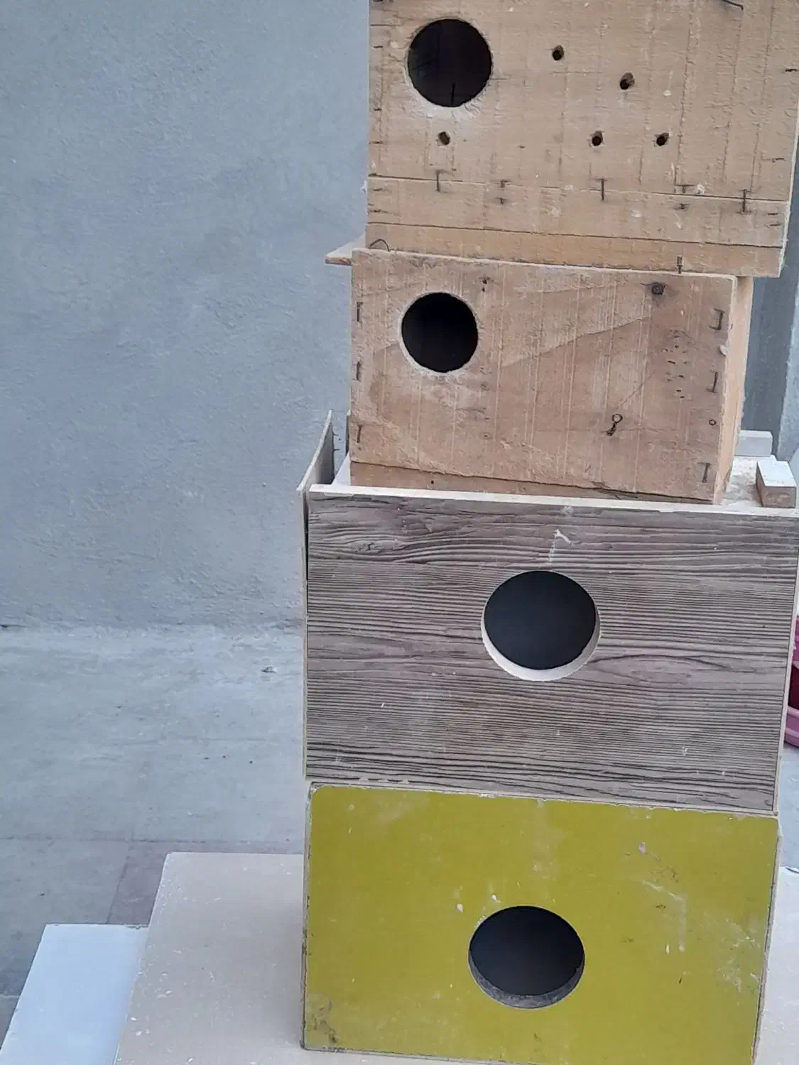 فروش لوازم پرنده|لوازم جانبی حیوانات|نقده, |دیوار