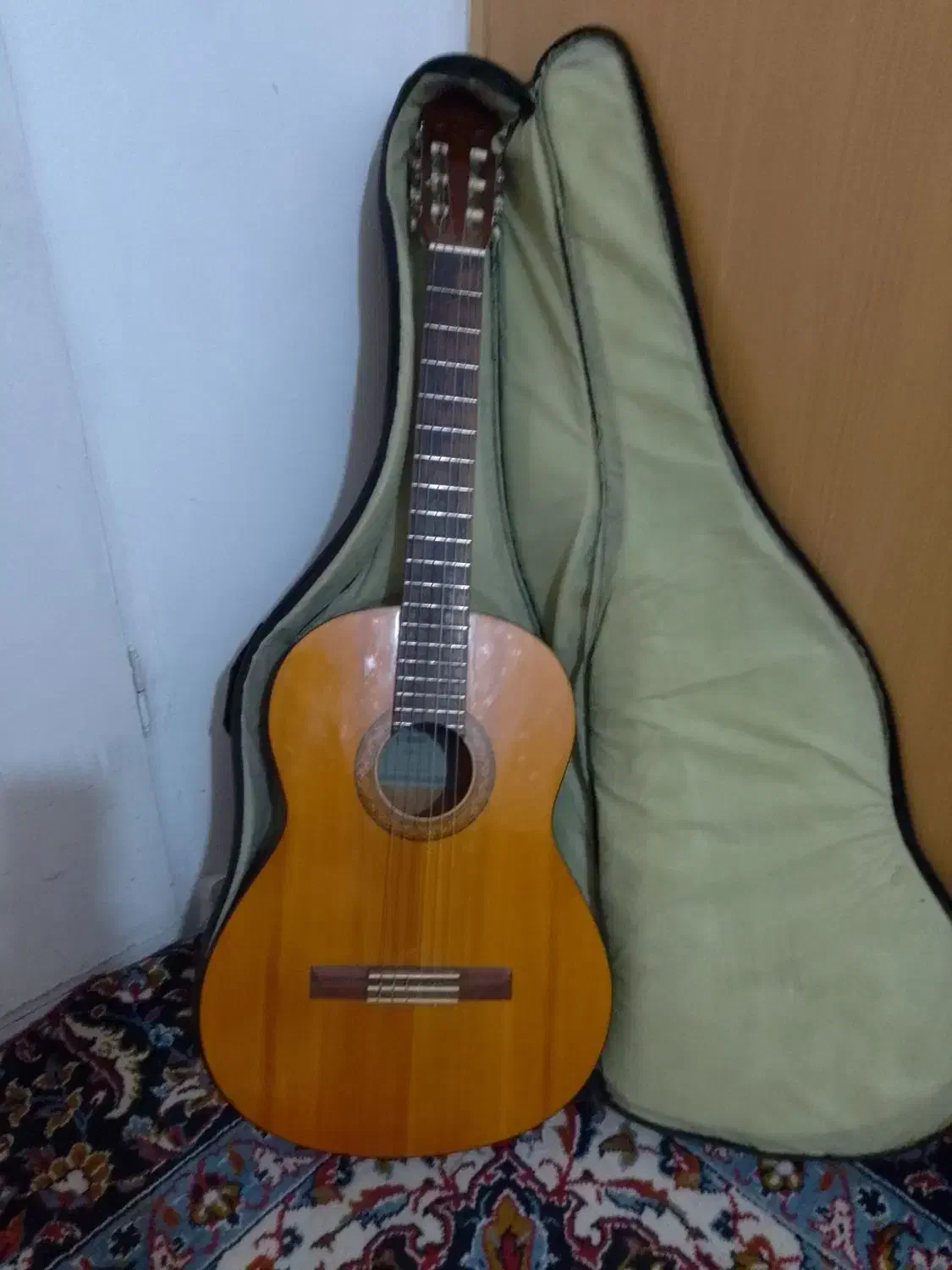 گیتار تمیز|گیتار، بیس، امپلیفایر|تهران, تهرانسر شمالی|دیوار