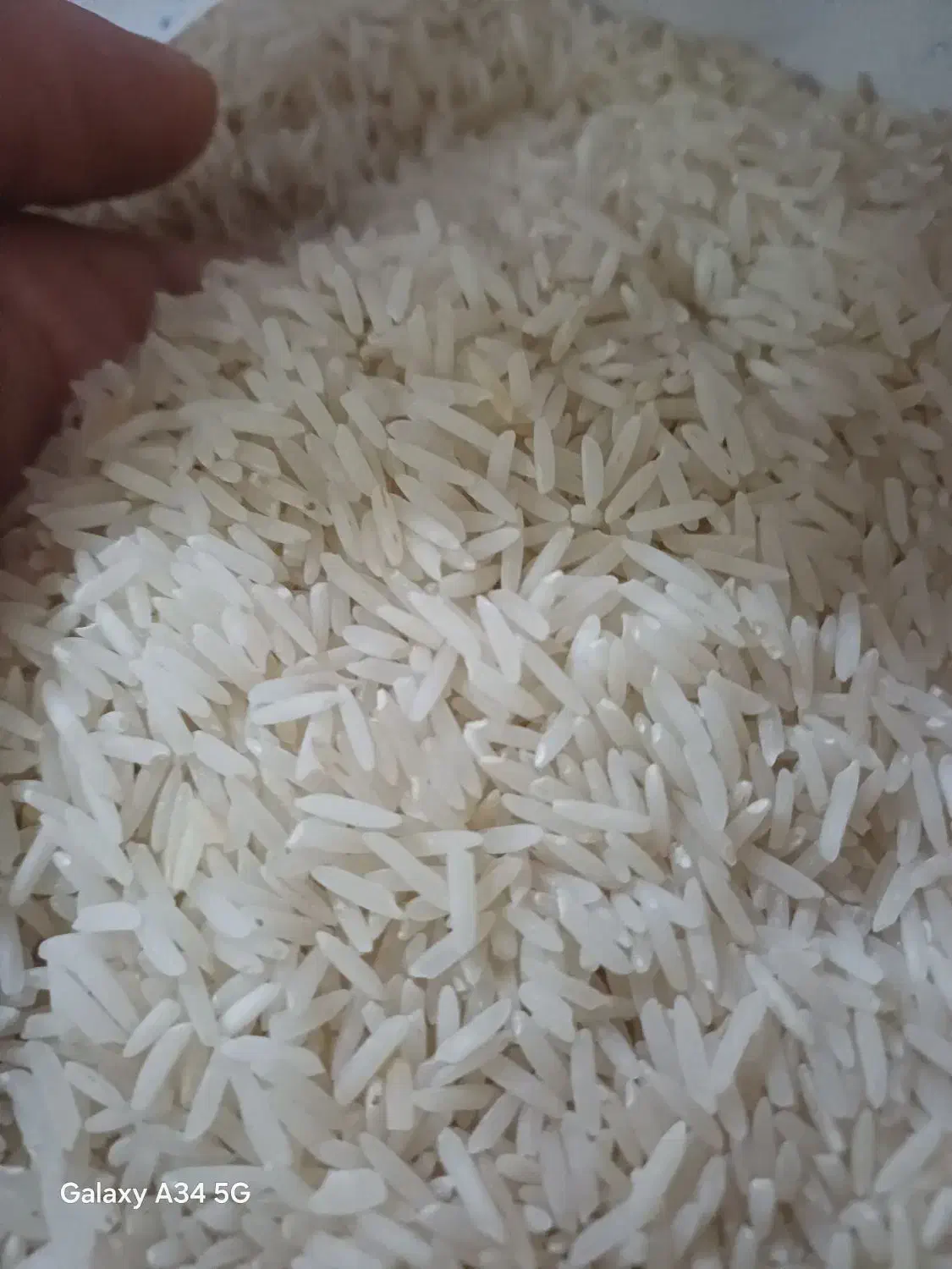 برنج تازه شالیزار/مخصوص پخت عمده و آشپزخانه ها|خوردنی و آشامیدنی|قزوین, |دیوار