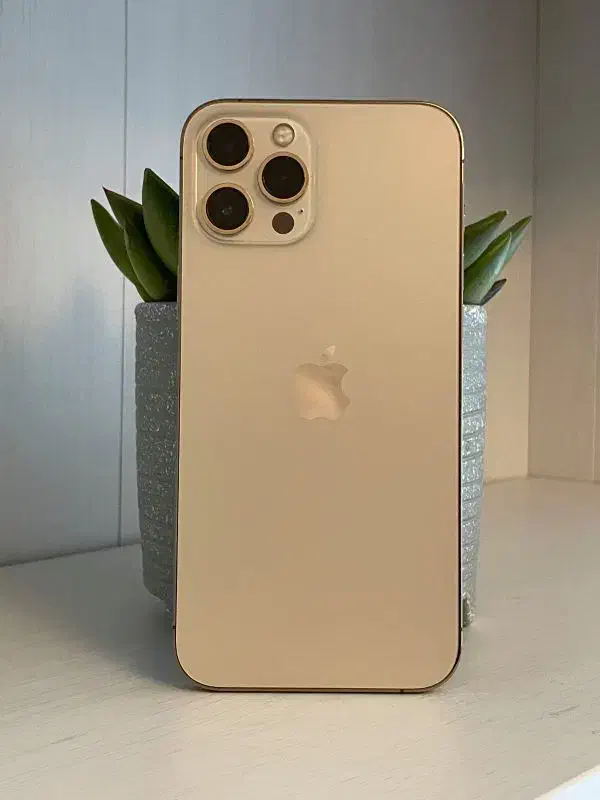 iPhone 12pro 256gig za|موبایل|کرج, گلشهر|دیوار