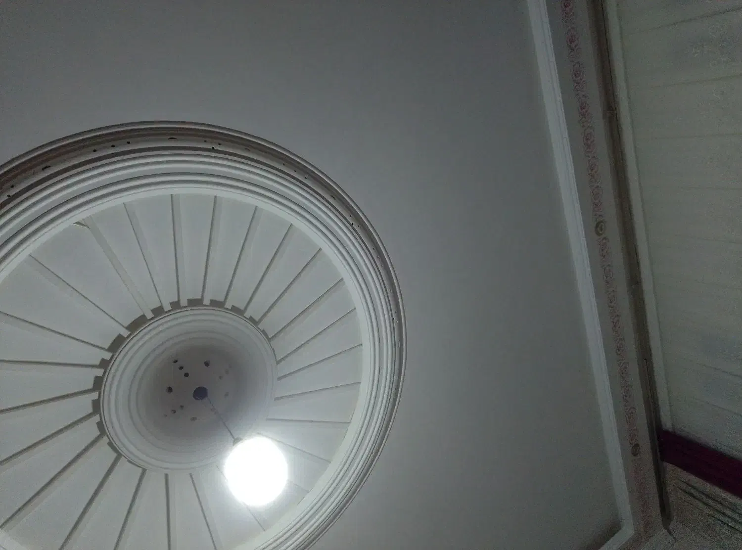 گج کاری ساختمان|خدمات پیشه و مهارت|گرمی, |دیوار