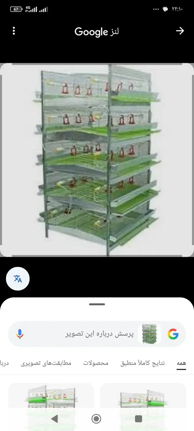 فروش قفس بلدرچین|لوازم جانبی حیوانات|سنگر, |دیوار