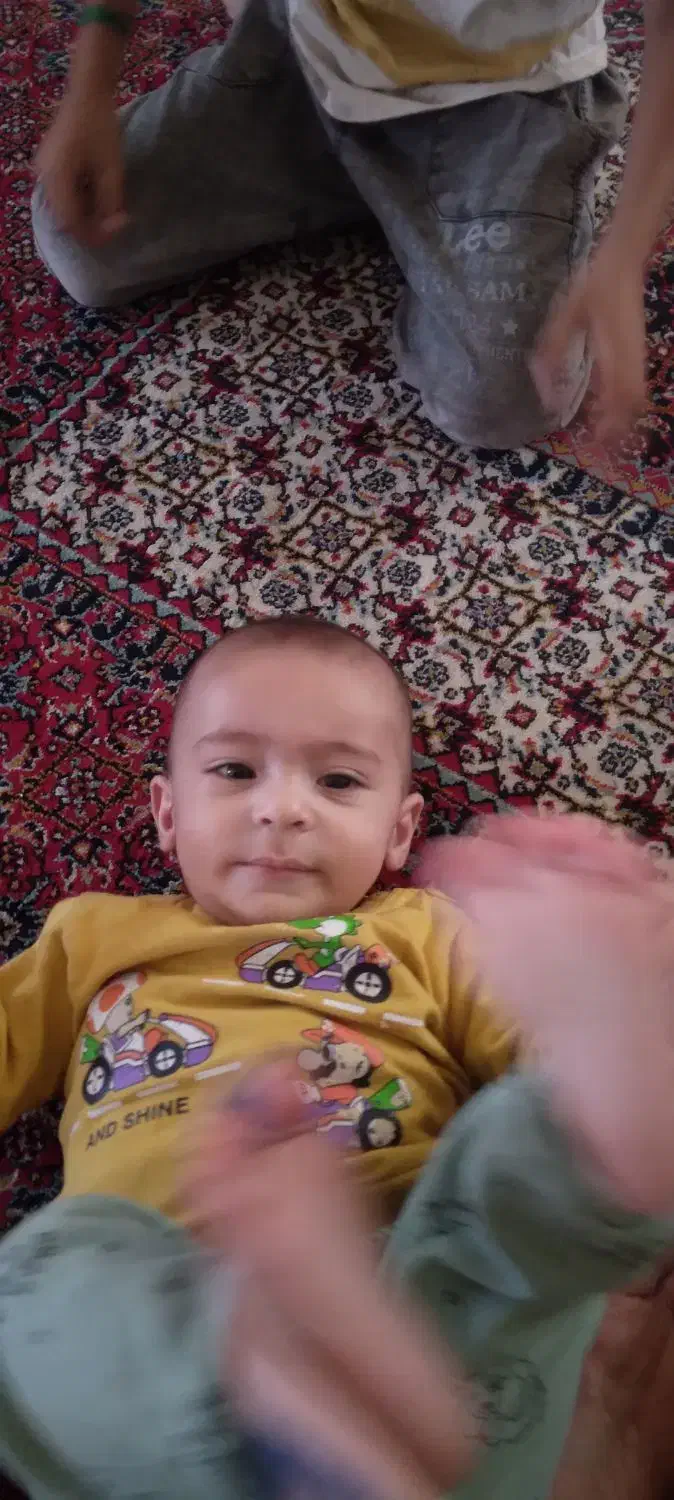 شناسنامه گم شده|اشیا|همدان, |دیوار