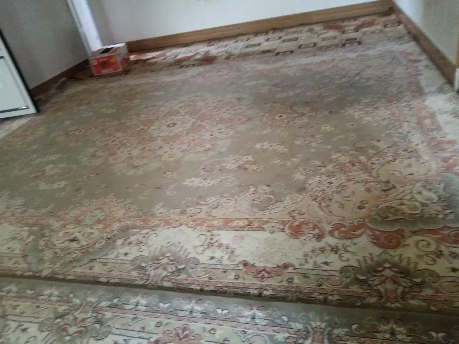 دو تخته فرش 12متری|فرش|گرگان, |دیوار