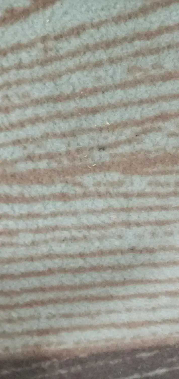 اجاره ۵۰ متری انباری ساختمان|اجارهٔ خانه و ویلا|پلدشت, |دیوار