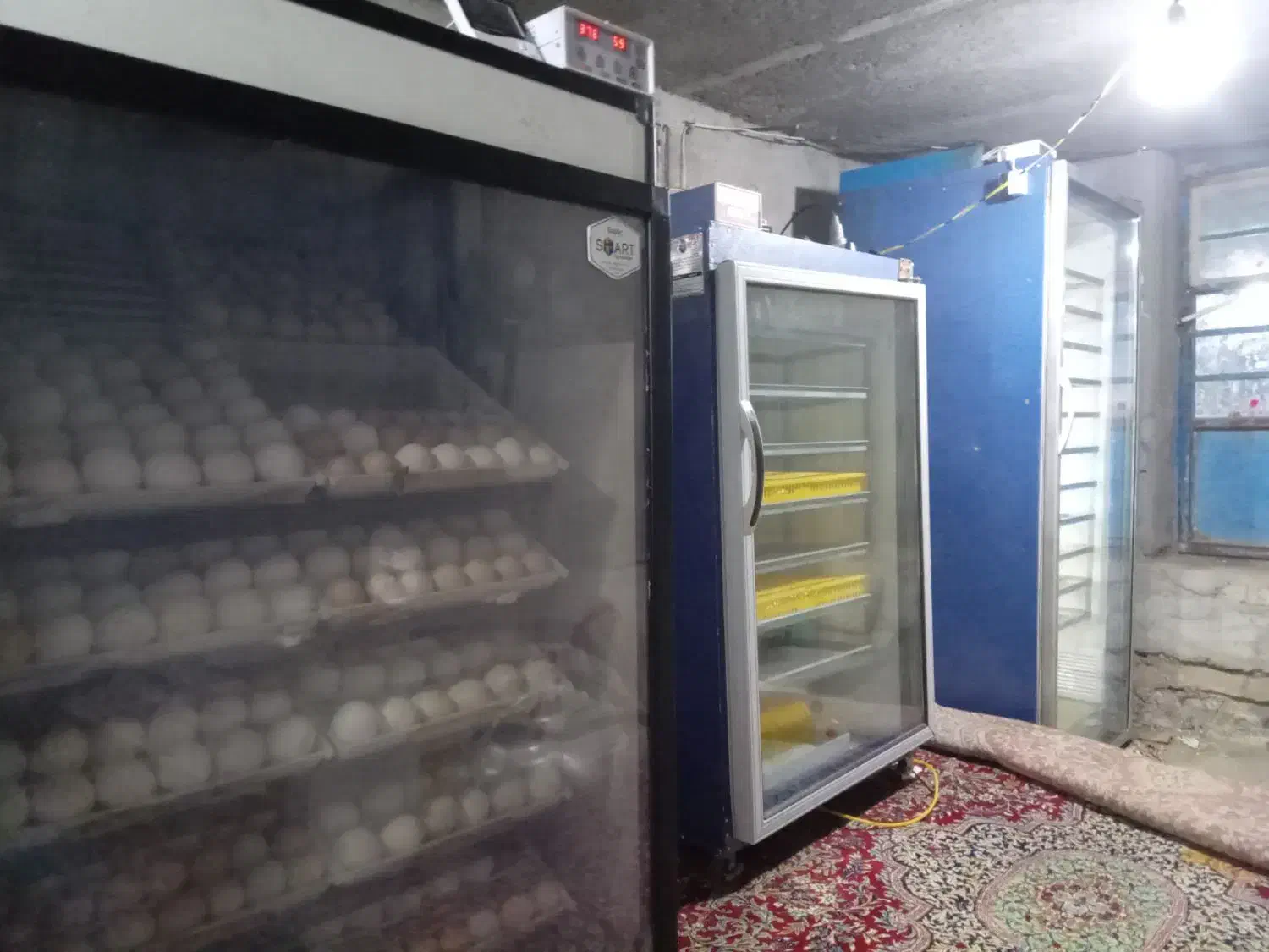 سلام دوعدد دستگاه جوجه کشی|لوازم جانبی حیوانات|قیدار, |دیوار