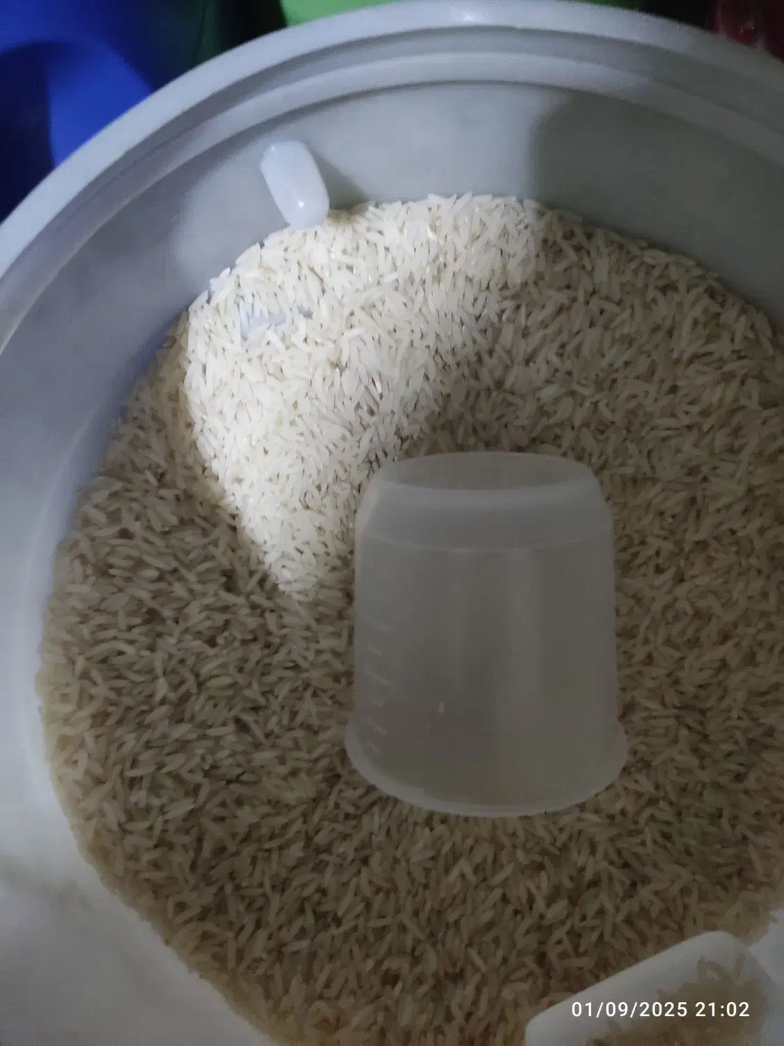 برنج طارم هاشمی امساله|خوردنی و آشامیدنی|قائمشهر, |دیوار