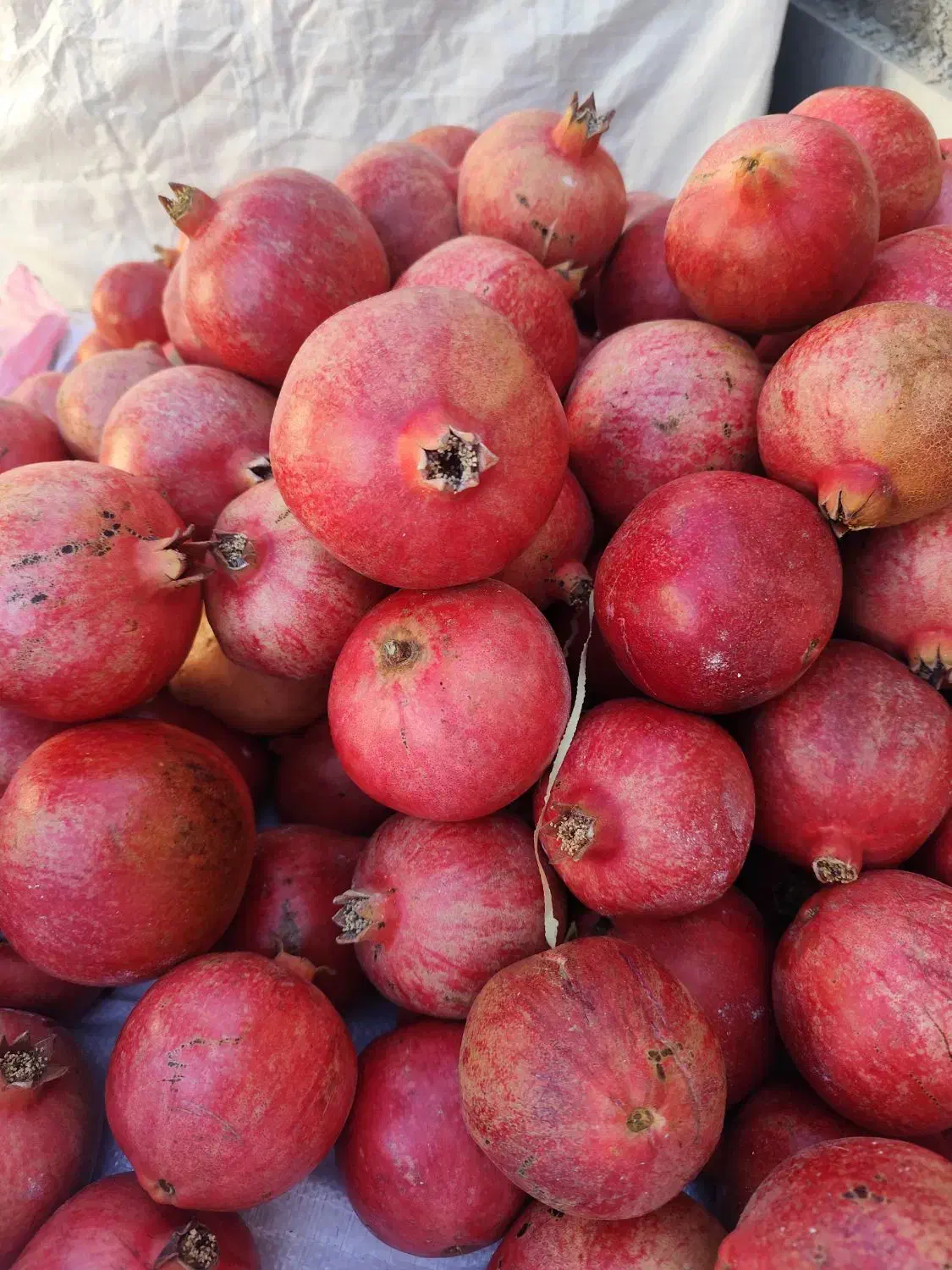 انار درجه 1|خوردنی و آشامیدنی|بختگان, |دیوار