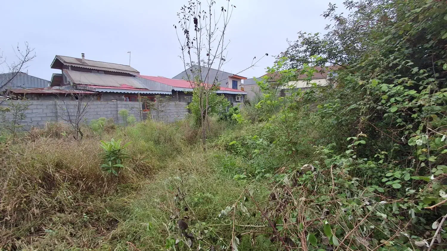 فروش زمین مسکونی ۴۱۰ متری سند تک برگ دور دیوار|فروش زمین و ملک کلنگی|سنگر, |دیوار