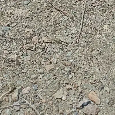 زمین فروشی میرجاوه|فروش زمین و ملک کلنگی|میرجاوه, |دیوار