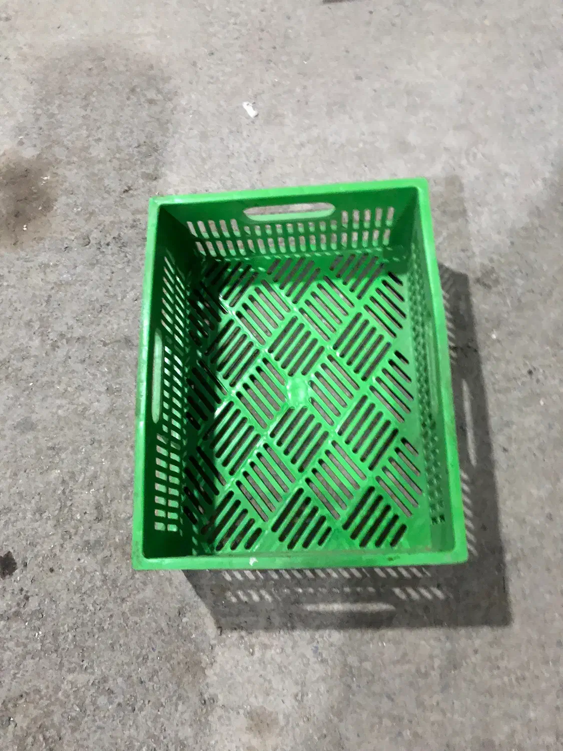 سبد پلاستیکی ماستی میوه گوشتی|ظروف نگهدارنده، پلاستیکی، یکبارمصرف|فلاورجان, |دیوار