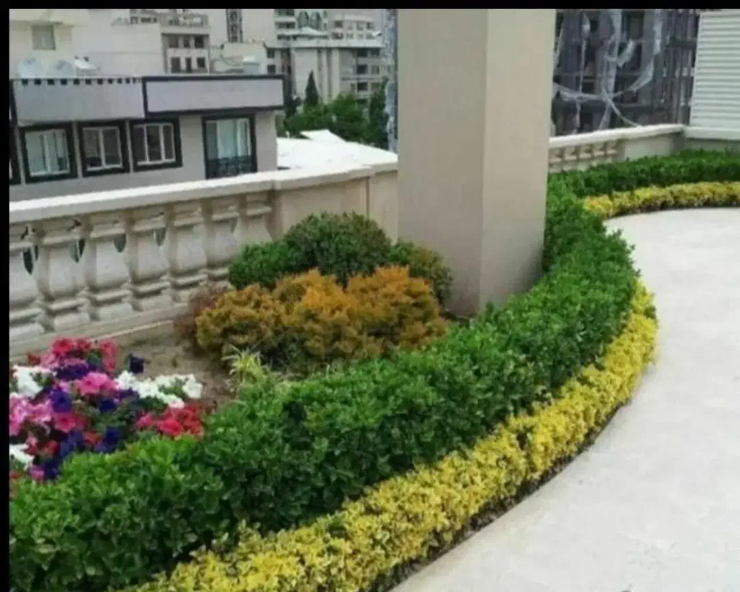 خدمات امور باغبانی گلکاری باغچه کاری هرسکاری کودهی|خدمات باغبانی و درختکاری|پردیس, فاز ۴|دیوار