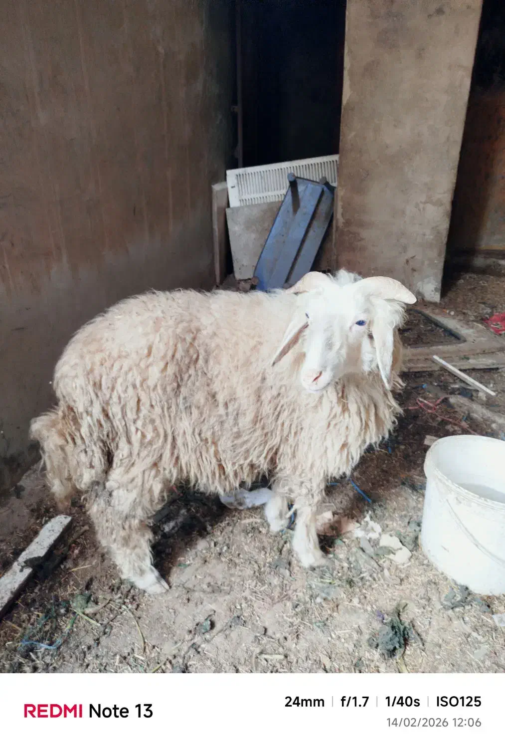 سالم|لوازم جانبی موبایل و تبلت|اهواز, گلدشت|دیوار