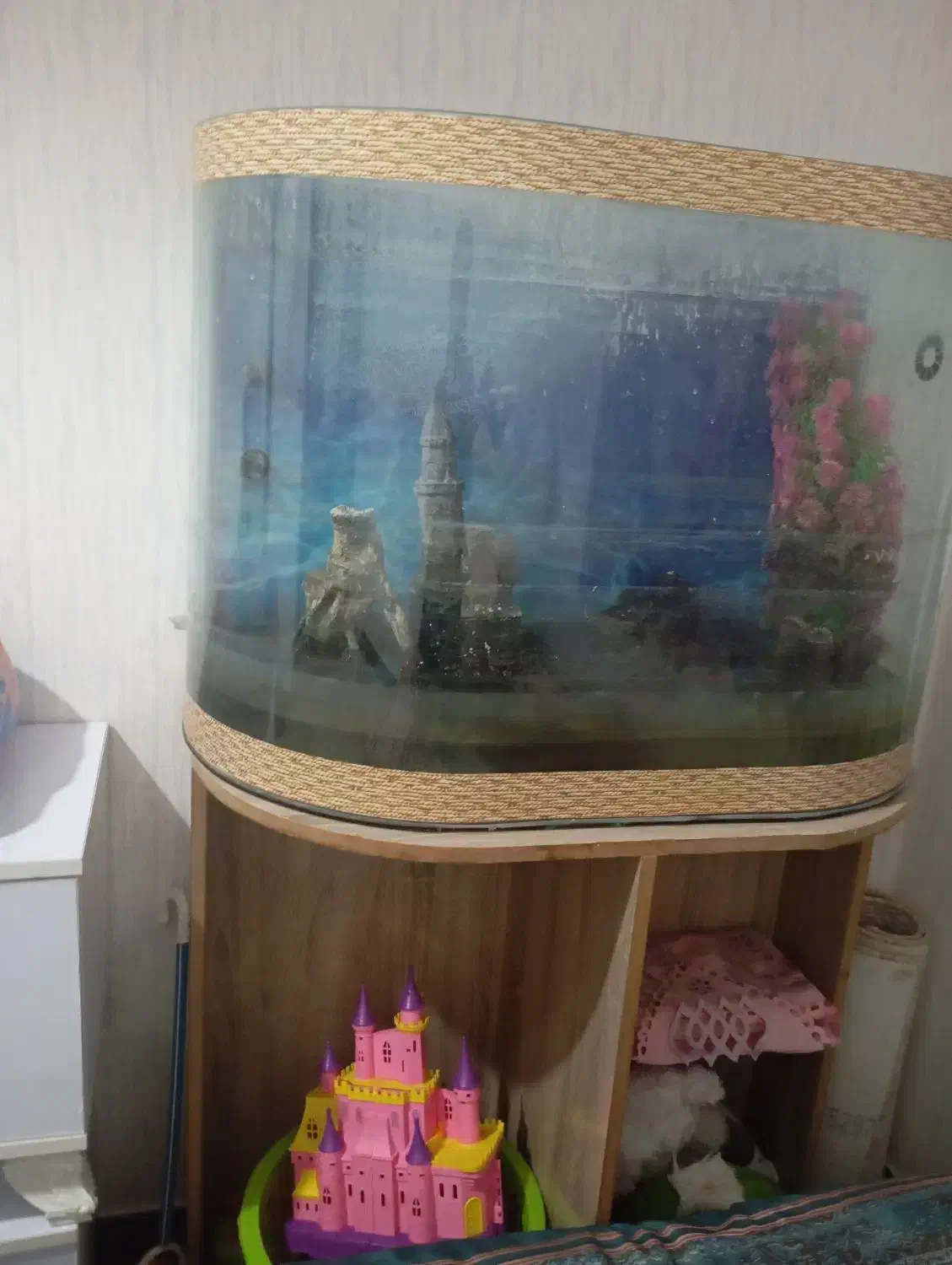 آکواریوم نو|ماهی|ایلام, |دیوار