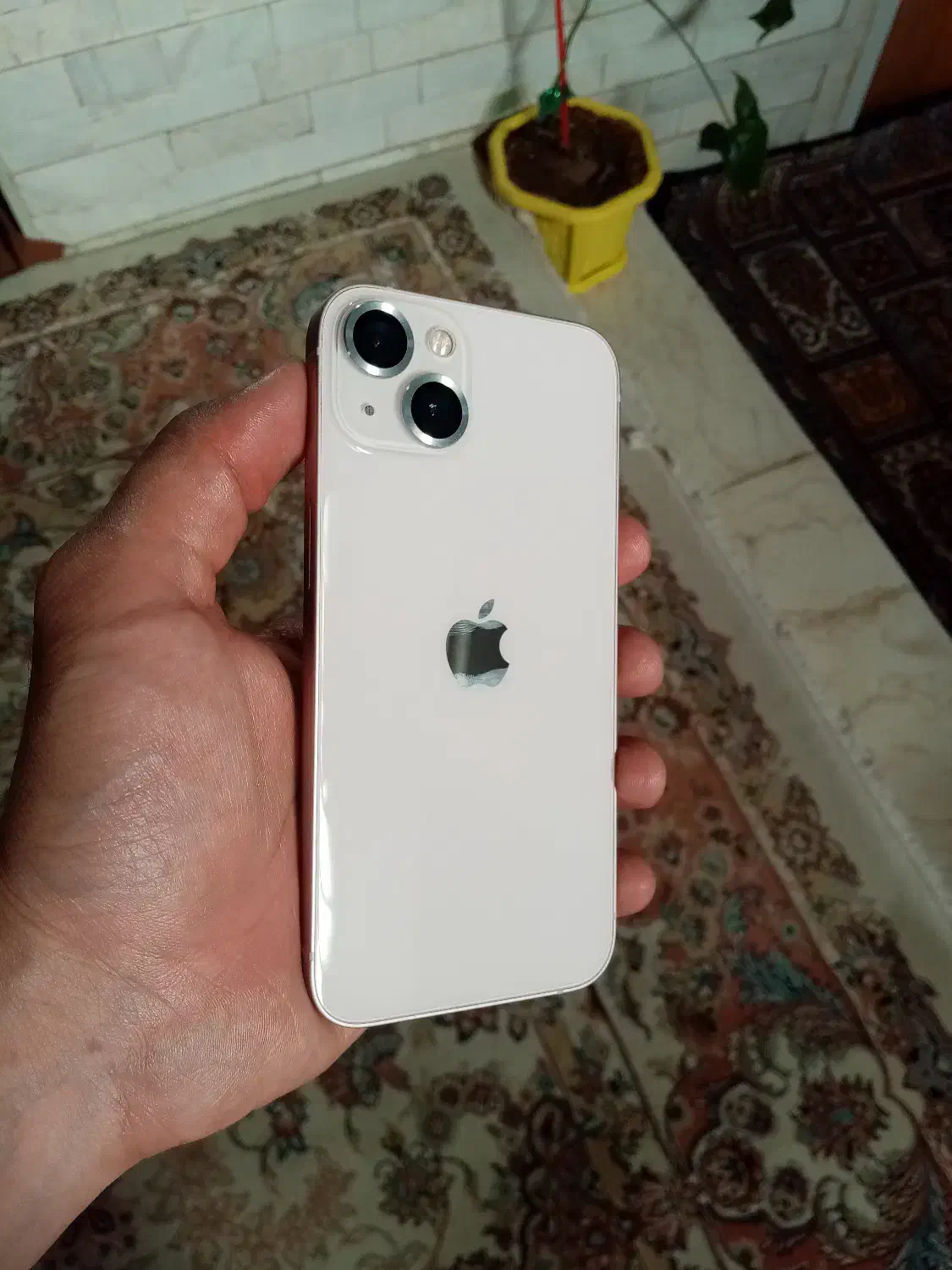 ایفون ۱۳ نرمال دوسیم|موبایل|تربت‌حیدریه, بی بی حسنیه|دیوار