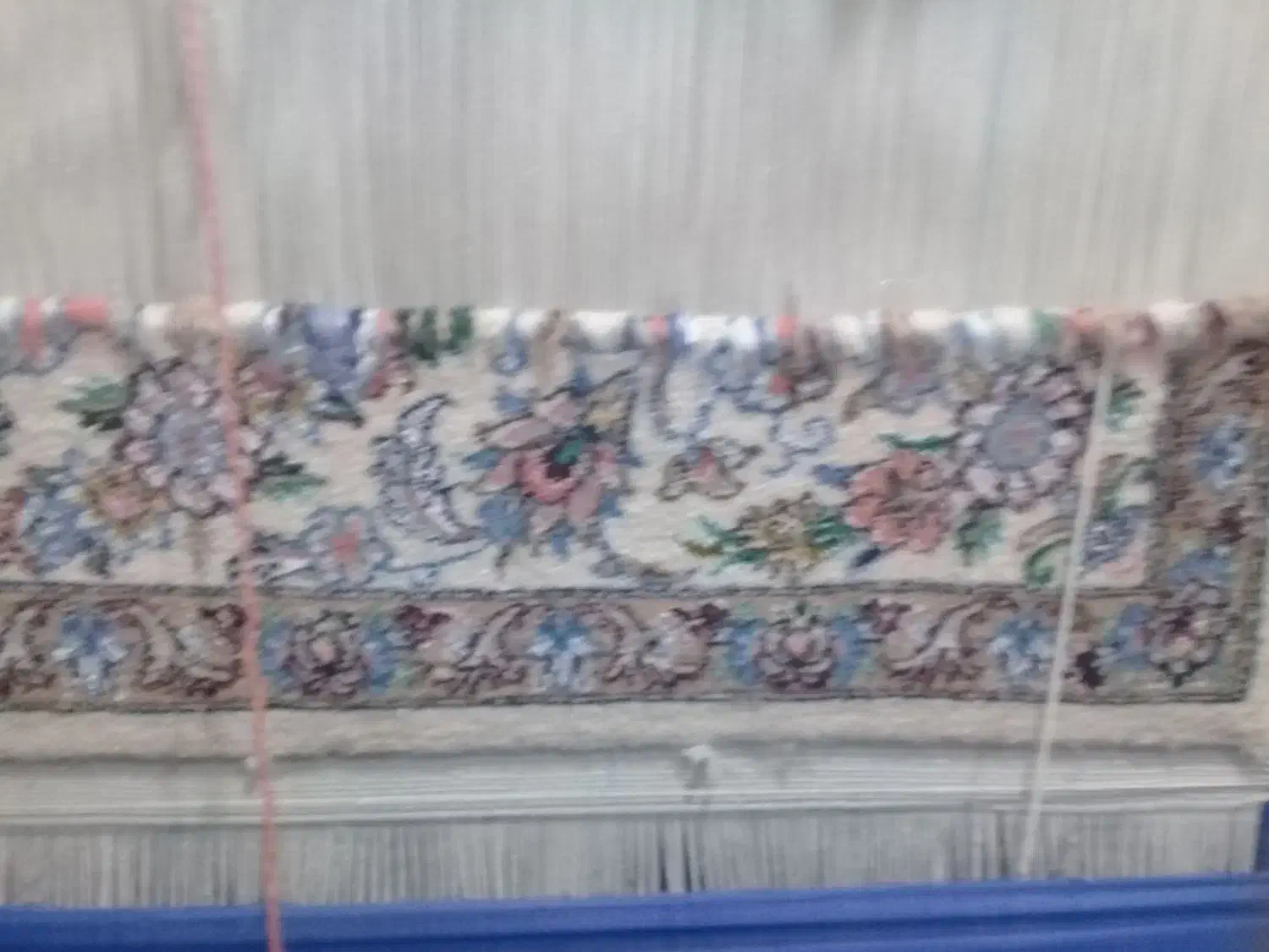 دار قالی|فرش|فولادشهر, B4|دیوار