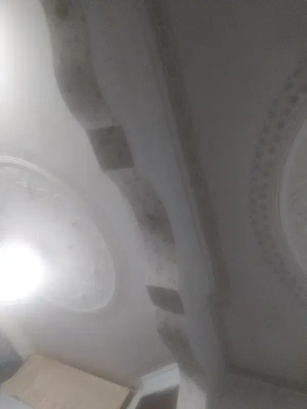 صفر تا صد بنایی|خدمات پیشه و مهارت|مشهد, بهاران|دیوار