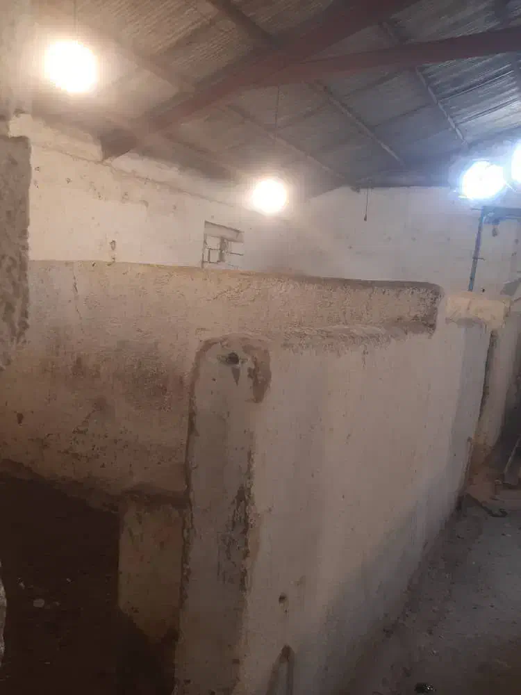 سالن مناسب اسطبل و سایر مشاغل|اجارهٔ دفتر صنعتی، کشاورزی، تجاری|اردبیل, |دیوار