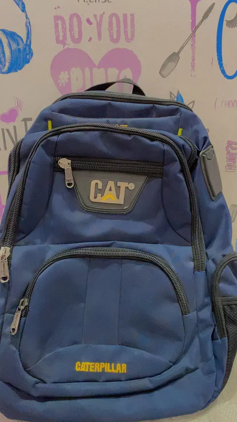 کیف|کیف، کفش، کمربند|اردبیل, |دیوار