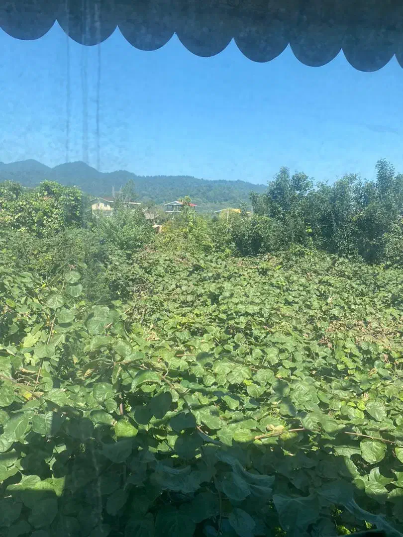 اجاره ویلایی در حویق|اجارهٔ خانه و ویلا|حویق, |دیوار