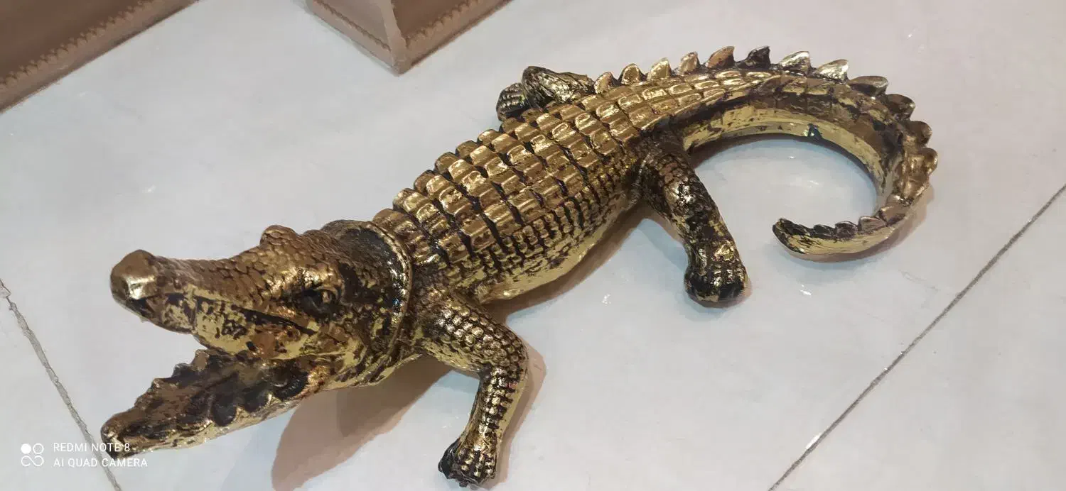 مجسمه تمساح سالم|مجسمه، تندیس، ماکت|بروجرد, |دیوار